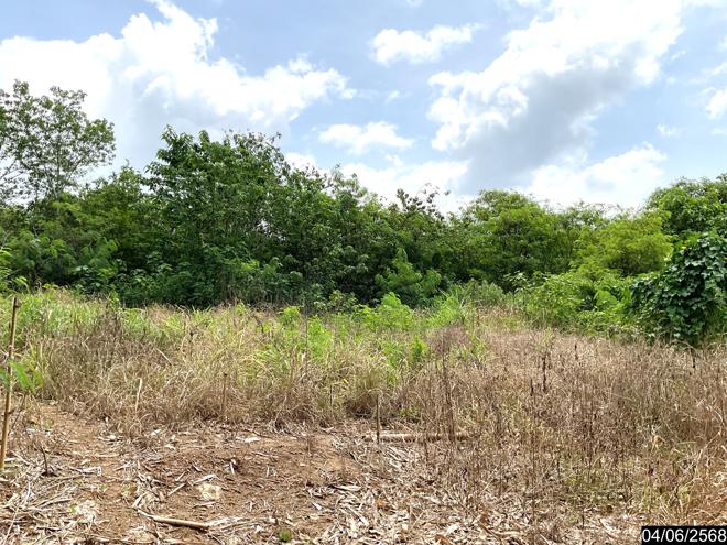 รูป ที่ดินว่างเปล่า สำหรับขาย - นาดินดำ เมืองเลย เลย - รูปที่ 5/18