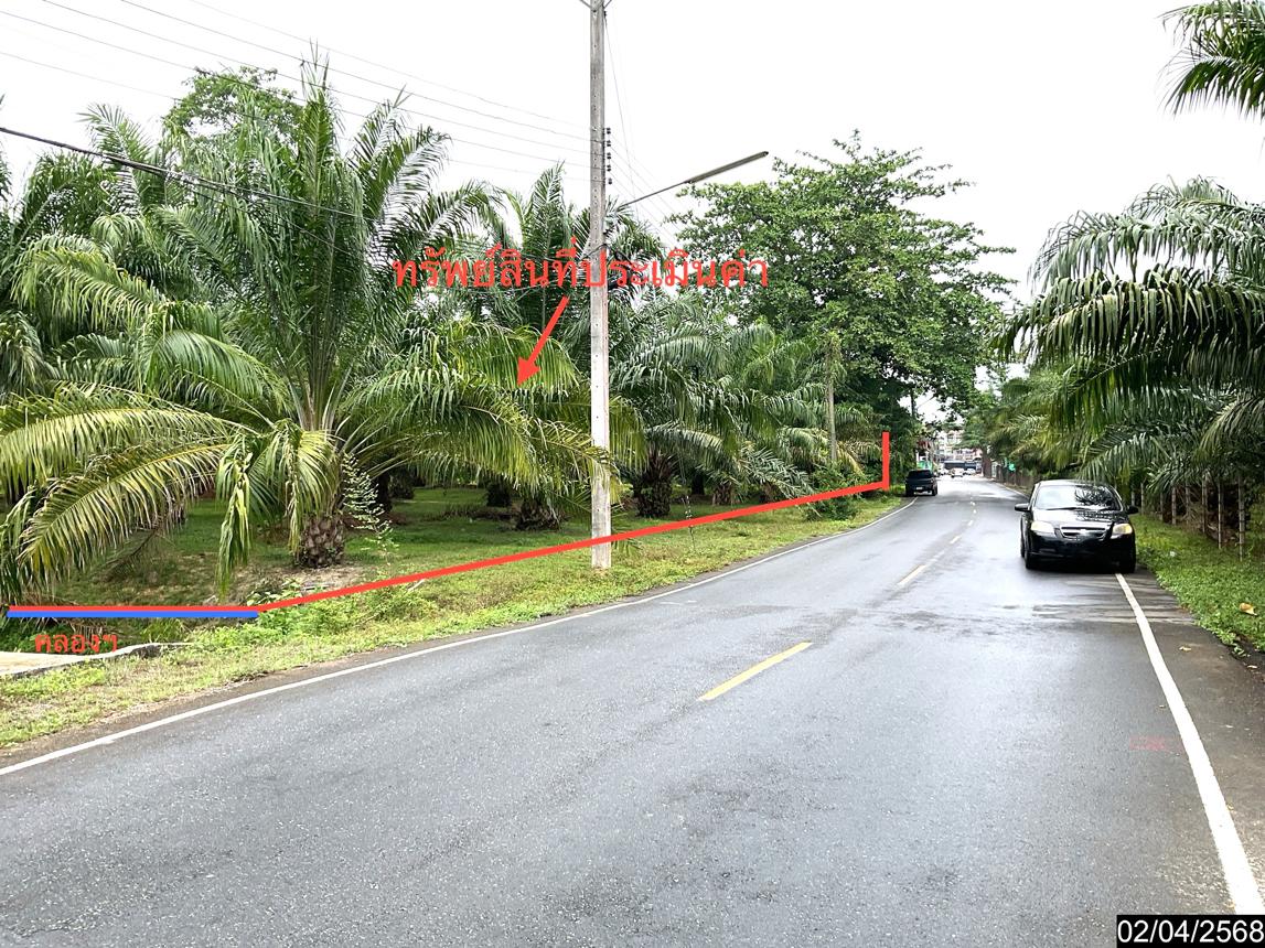 รูป ที่ดินว่างเปล่า สำหรับขาย - ฉวาง ฉวาง นครศรีธรรมราช - รูปที่ 9/18