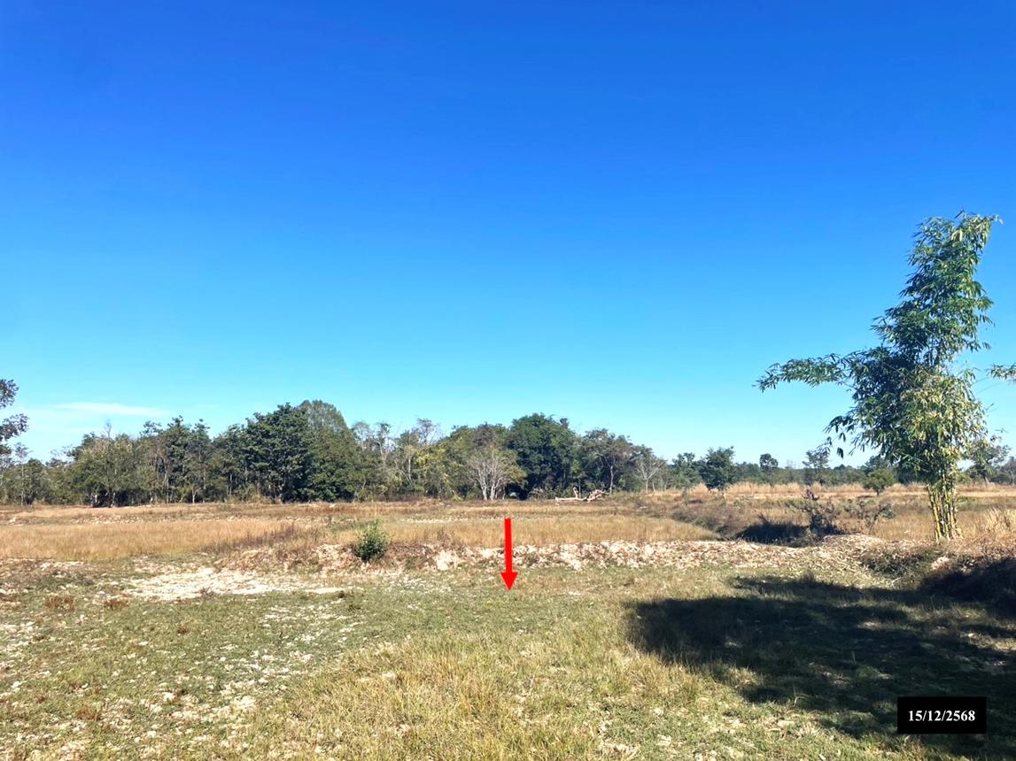 รูป ที่ดินว่างเปล่า สำหรับขาย - โพนสว่าง ศรีสงคราม นครพนม - รูปที่ 10/18