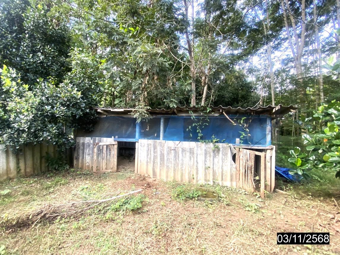 picture HOME for sale Wang Saphung Wang Saphung Loei - 39/44