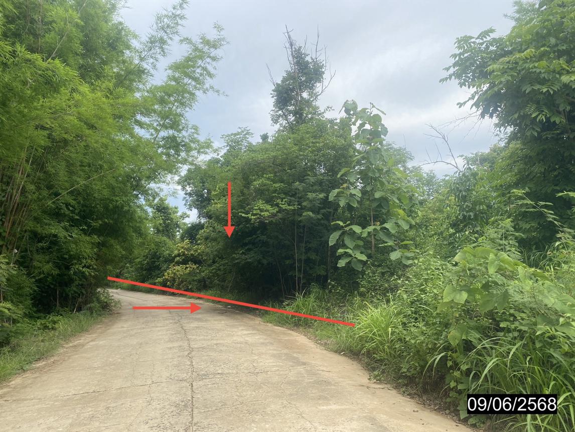 picture LAND for sale  Hin Hao Lom Kao Phetchabun - 10/20