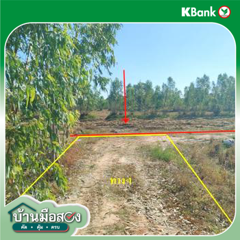 รูป ที่ดินว่างเปล่า สำหรับขาย - น้ำใส จตุรพักตรพิมาน ร้อยเอ็ด - รูปที่ 10/12