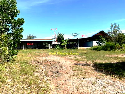 โรงงาน นครพนม : โกดัง สำหรับขาย - บ้านผึ้ง เมืองนครพนม นครพนม