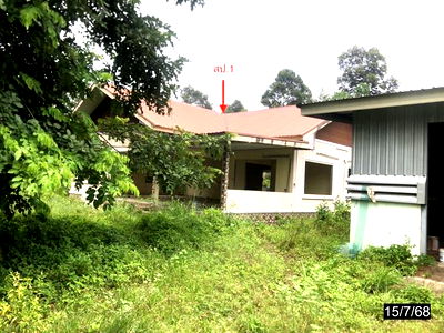 Houses for sale Kalasin : HOME for sale  Yang Talat Yang Talat Kalasin