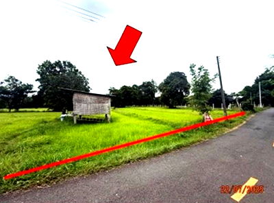 Land for sale Kanthararom Si Sa Ket : LAND for sale  Dun Kanthararom Si Sa Ket