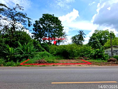 Land for sale Trang : LAND for sale  Tha Phaya Palian Trang
