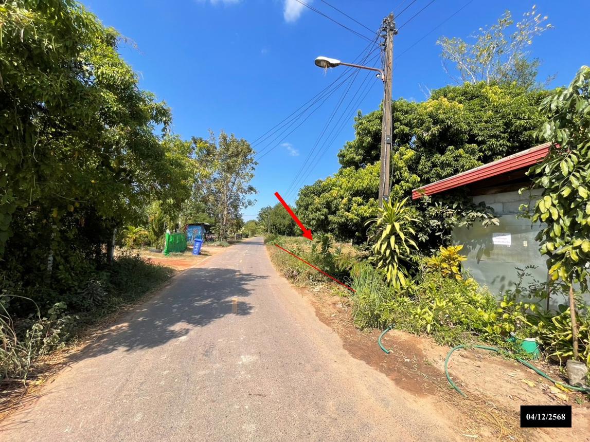 รูป ที่ดินว่างเปล่า สำหรับขาย - ส่องดาว ส่องดาว สกลนคร - รูปที่ 14/20