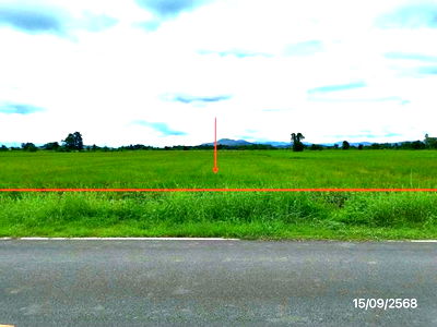 Land for sale Chiang Rai : LAND for sale  San Klang Phan Chiang Rai