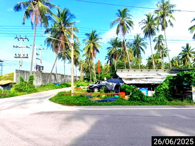 Land for sale Chumphon : LAND for sale  Na Phaya Lang Suan Chumphon