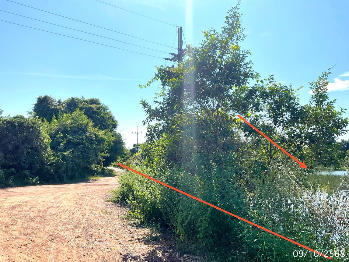 รูป ที่ดินว่างเปล่า สำหรับขาย - แจระแม เมืองอุบลราชธานี อุบลราชธานี - รูปที่ 8/14