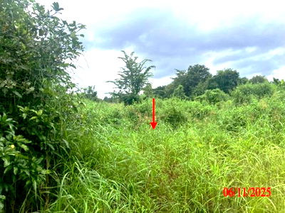 Land for sale Ban Hong Lamphun : LAND for sale  Sri Tia Ban Hong Lamphun