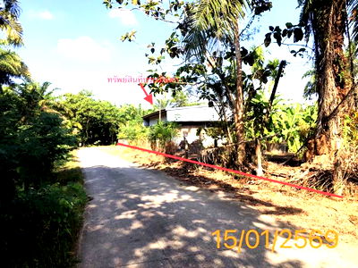 ขายโรงงาน : โกดัง สำหรับขาย - ปกาสัย เหนือคลอง กระบี่