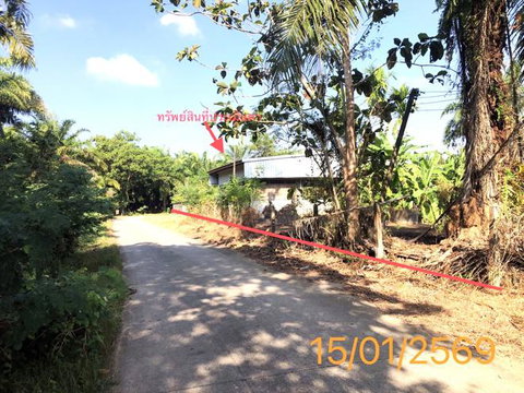 โกดัง 1420.7 ตร.วา เหนือคลอง กระบี่ 4M