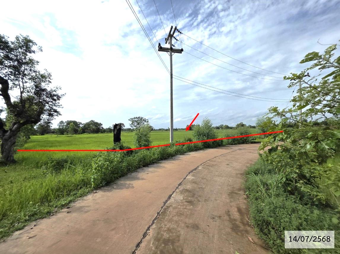 รูป ที่ดินว่างเปล่า สำหรับขาย - ท่าลาด เรณูนคร นครพนม - รูปที่ 16/26