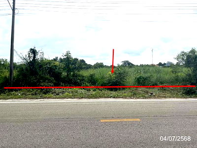 Land for sale Srakaeo : LAND for sale  Watthana Nakhon Watthana Nakhon Srakaeo