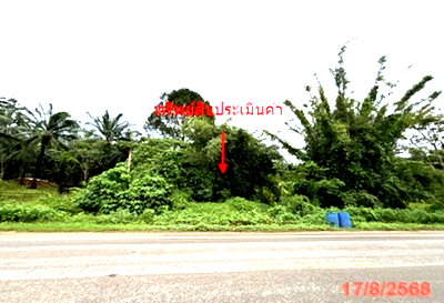 ที่ดิน วิทยาลัยเทคโนโลยีนครกระบี่ : ที่ดินว่างเปล่า สำหรับขาย - ทับปริก เมืองกระบี่ กระบี่