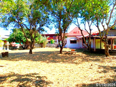 Houses for sale Phetchabun : HOME for sale  Wang Tha Di Nong Phai Phetchabun