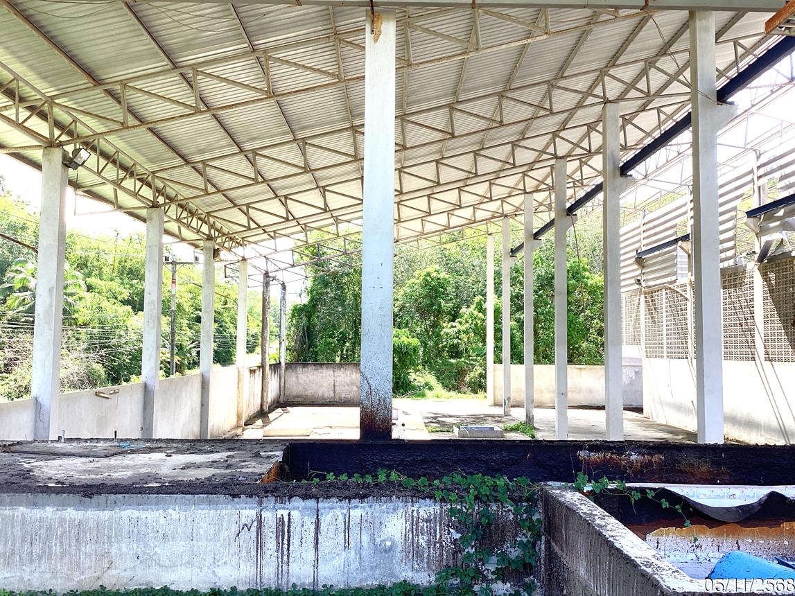 picture FACTORY for sale Padangbesa Sadao Songkhla - 15/24