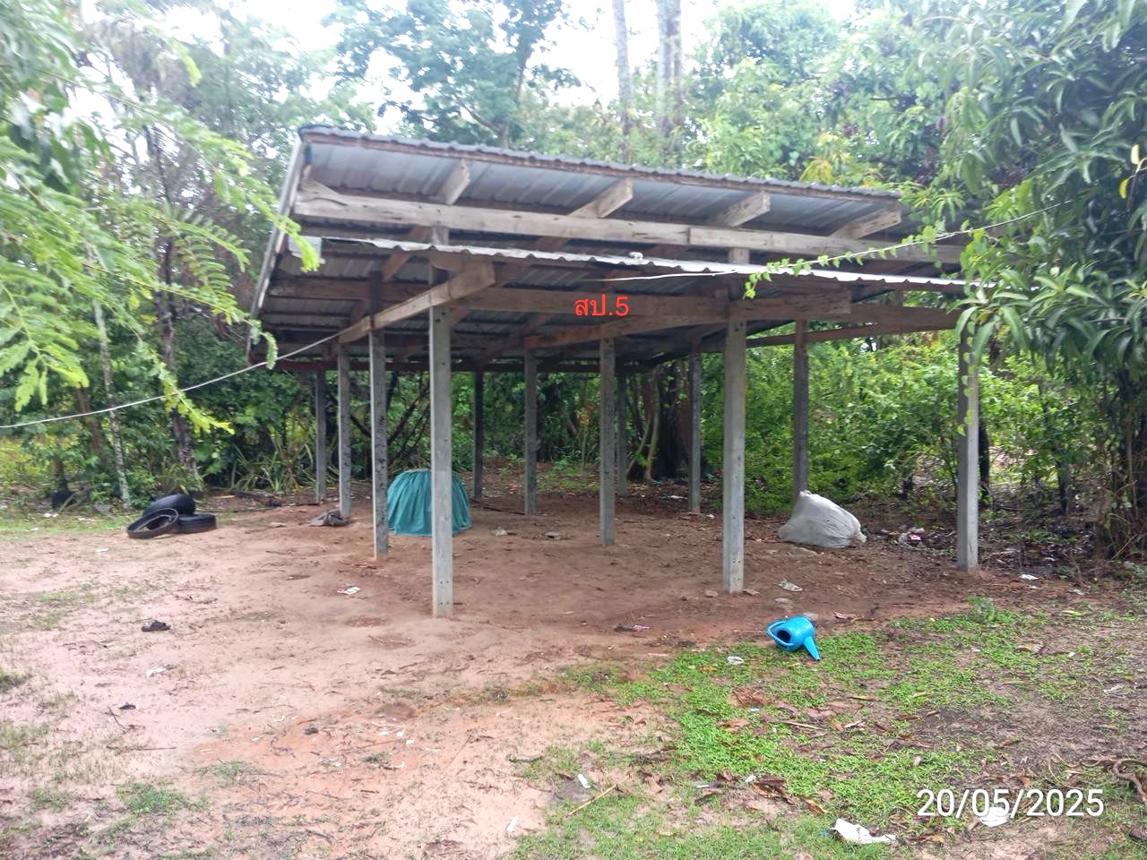 รูป บ้านเดี่ยว สำหรับขาย - จารพัต ศีขรภูมิ สุรินทร์ - รูปที่ 12/20