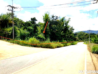 ที่ดินว่างเปล่า 1060 ตร.วา เชียงแสน เชียงราย 4M