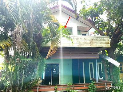 Houses for sale Phayao : HOME for sale  Ban Tom Muang Phayao Phayao
