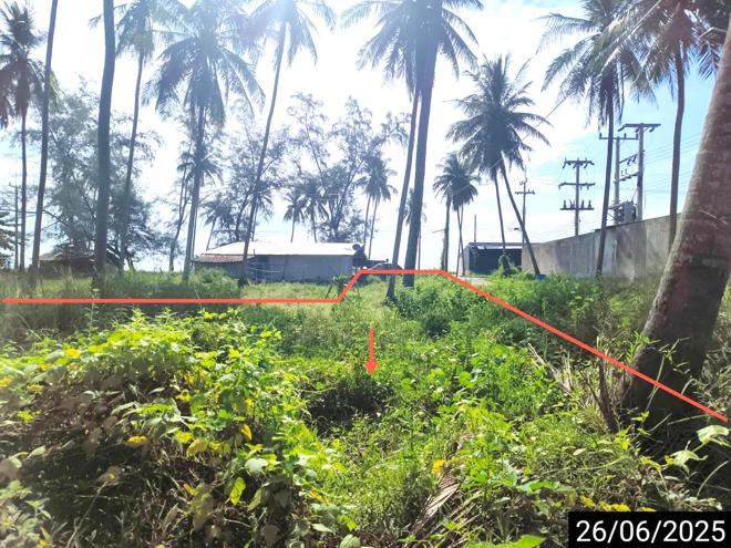 รูป ที่ดินว่างเปล่า สำหรับขาย - บางมะพร้าว หลังสวน ชุมพร - รูปที่ 3/16