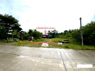 บ้านเดี่ยว สุราษฎร์ธานี : บ้านเดี่ยว สำหรับขาย - สองแพรก ชัยบุรี สุราษฎร์ธานี