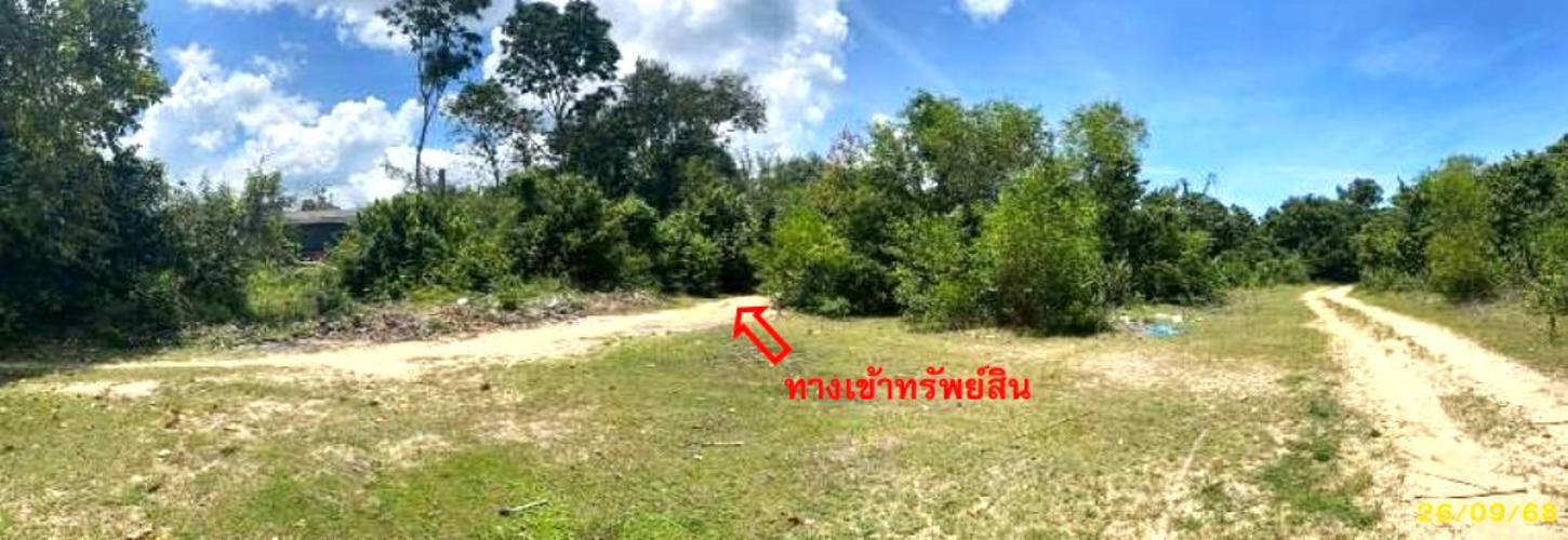 รูป ที่ดินว่างเปล่า สำหรับขาย - ลำภู เมืองนราธิวาส นราธิวาส - รูปที่ 14/20