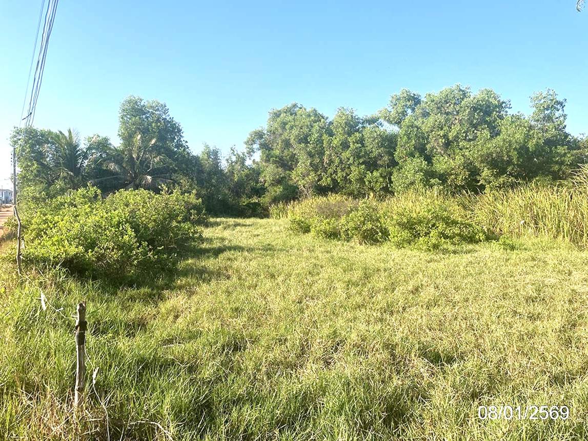 รูป ที่ดินว่างเปล่า สำหรับขาย - คลองเปรง เมืองฉะเชิงเทรา ฉะเชิงเทรา - รูปที่ 8/14