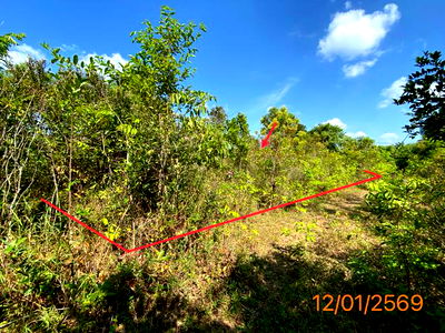 ที่ดิน วิทยาลัยเทคโนโลยีนครกระบี่ : ที่ดินว่างเปล่า สำหรับขาย - กระบี่น้อย เมืองกระบี่ กระบี่