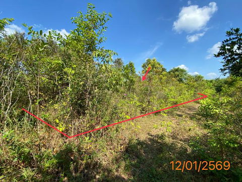 ที่ดินว่างเปล่า สำหรับขาย - กระบี่น้อย เมืองกระบี่ กระบี่
