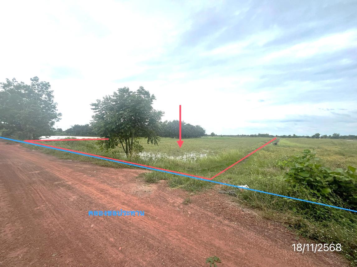 รูป ที่ดินว่างเปล่า สำหรับขาย - วังพิกุล วังทอง พิษณุโลก - รูปที่ 10/18