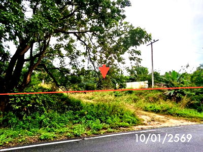 Land for sale Sichon Nakhon Sri Thammarat : LAND for sale  Thung Sai Sichon Nakhon Sri Thammarat