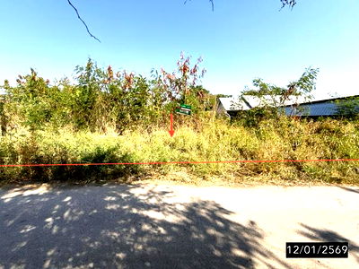Land for sale Chaiyaphum : LAND for sale  Nai Muang Muang Chaiyaphum Chaiyaphum
