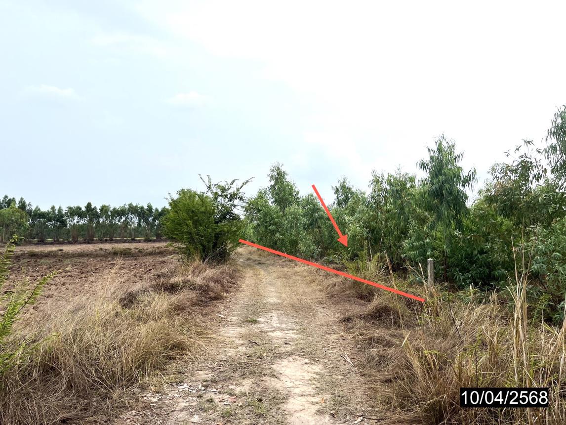 รูป ที่ดินว่างเปล่า สำหรับขาย -- จำปาขัน สุวรรณภูมิ ร้อยเอ็ด - รูปที่ 14/20