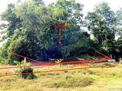Land for sale Karnjanavanit Road Hat Yai : LAND for sale  Ban Phru Hat Yai Songkhla