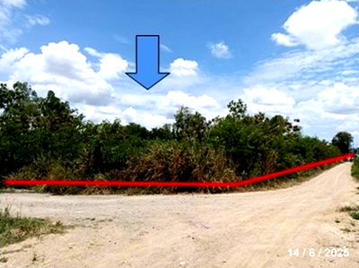 Land for sale Eastern Seaboard Industrial Estate : LAND for sale  Pluak Daeng Pluak Daeng Rayong