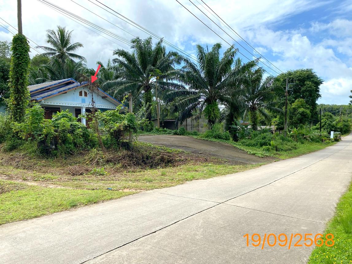 picture HOME for sale Khlong Phon Khlong Thom Krabi - 26/30