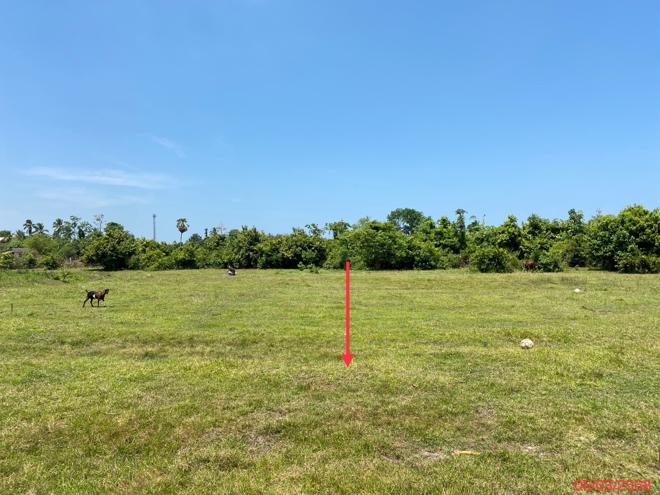 รูป ที่ดินว่างเปล่า สำหรับขาย - บ้านนา จะนะ สงขลา - รูปที่ 4/24