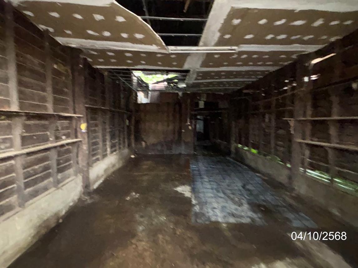 picture HOME for sale  Na Suang Det Udom Ubon Ratchathani - 12/22