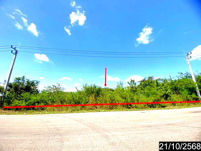 LAND 817 Sq.w. Phen Udon Thani for 2.5M