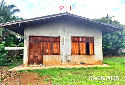 Houses for sale Lamphang : HOME for sale  Nam Cho Mae Tha Lamphang