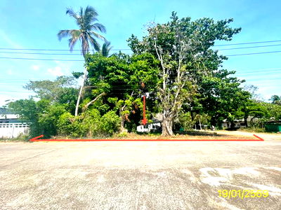 ที่ดิน ละงู สตูล : ที่ดินว่างเปล่า สำหรับขาย - ปากน้ำ ละงู สตูล