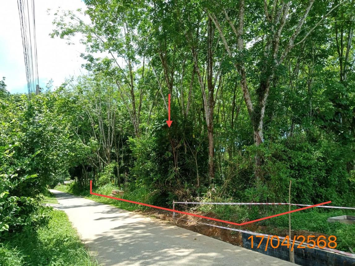 picture LAND for sale  Ko Yao Noi Ko Yao Phangnga - 9/20