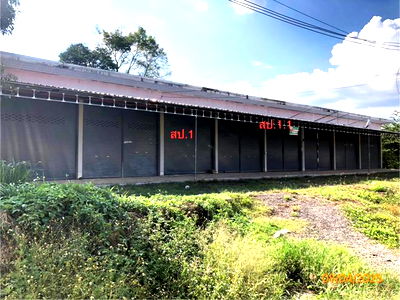 Shophouses for sale Surat Thani : SHOP HOUSE for sale  Khlong Sok Phanom Surat Thani