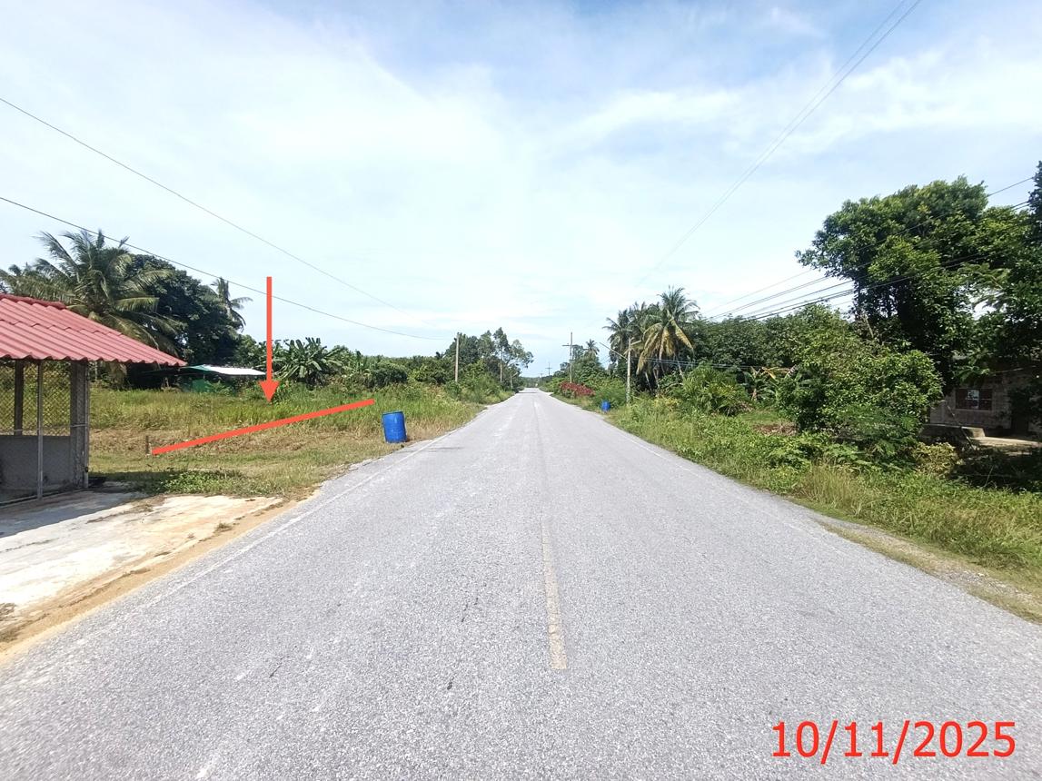 รูป ที่ดินว่างเปล่า สำหรับขาย - ท่าม่วง เทพา สงขลา - รูปที่ 13/20