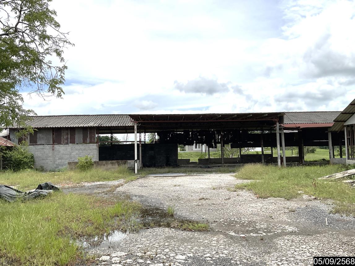 picture HOME for sale  Dan Khun Thot Dan Khun Thot Nakhon Ratchasima - 32/52