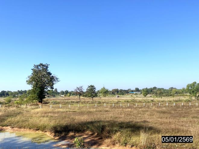 รูป ที่ดินว่างเปล่า สำหรับขาย - จุมพล โพนพิสัย หนองคาย - รูปที่ 5/24