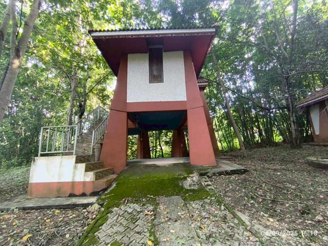 รูป บ้านเดี่ยว สำหรับขาย - ห้วยไคร้ แม่สาย เชียงราย - รูปที่ 11/50