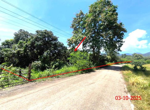 ที่ดินว่างเปล่า 5611 ตร.วา ลี้ ลำพูน 3.9M